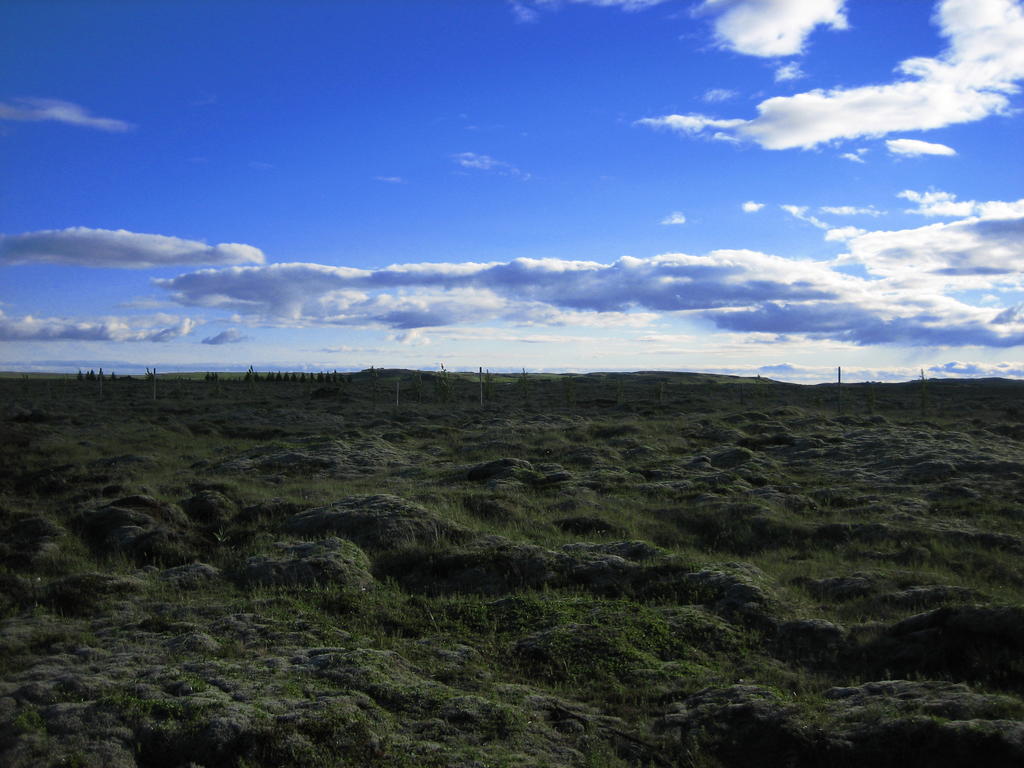 Icelandic Cottages Hraunmork Eksteriør billede